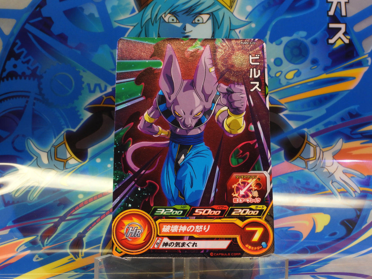 PUMS13-22 Beerus