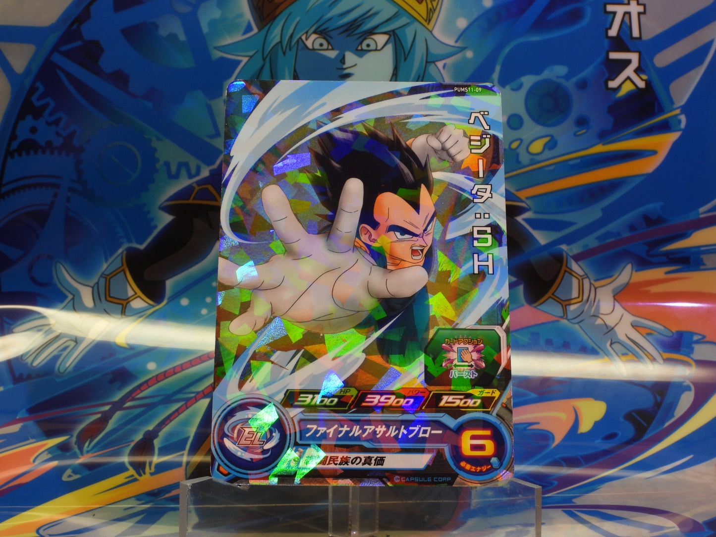 PUMS11-09 Vegeta