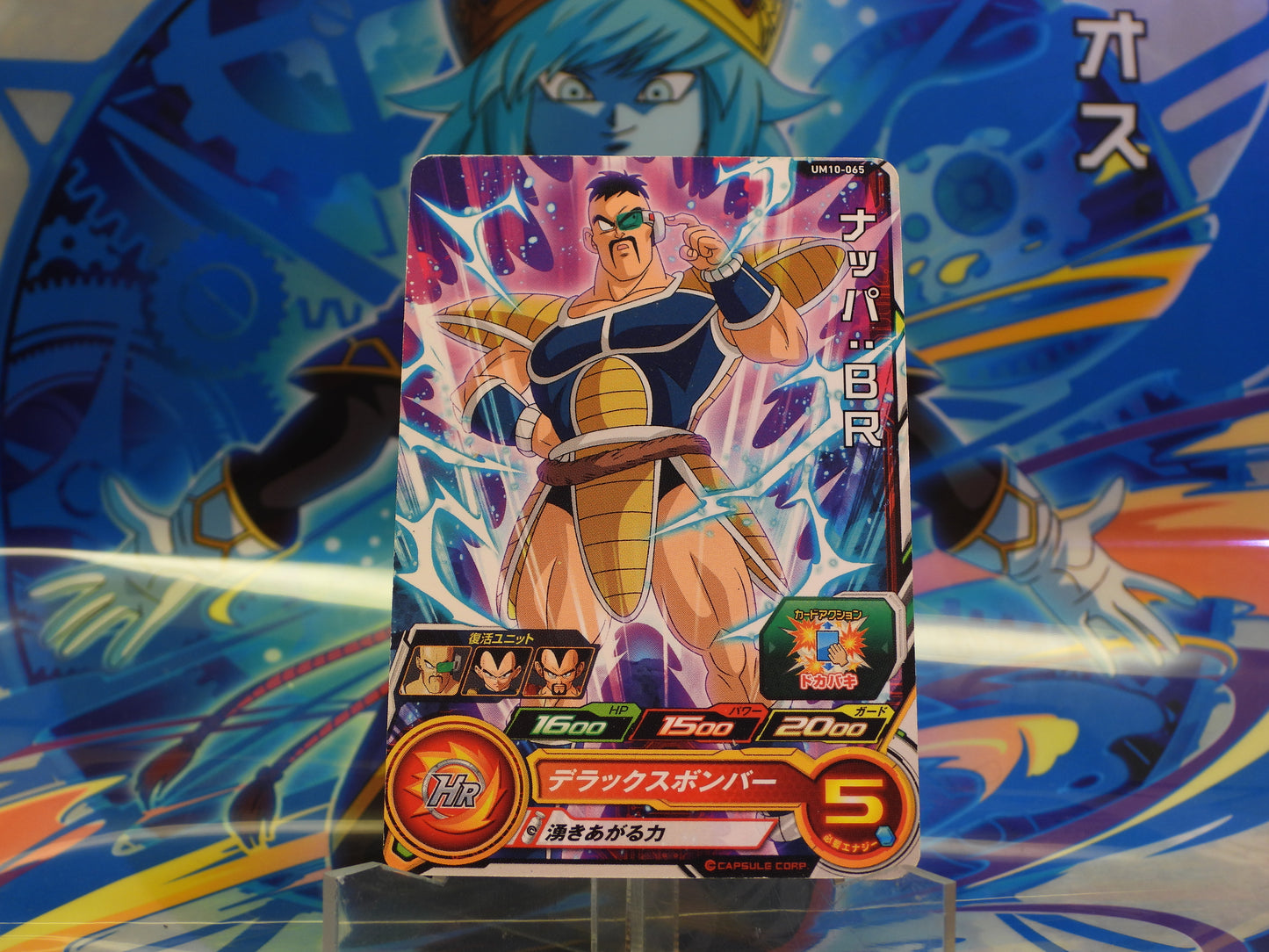 UM10-065 Nappa