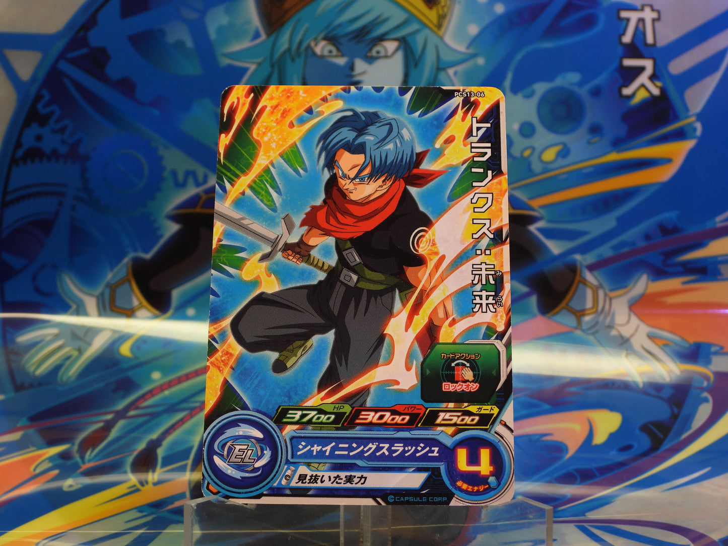 PCS13-06 Trunks