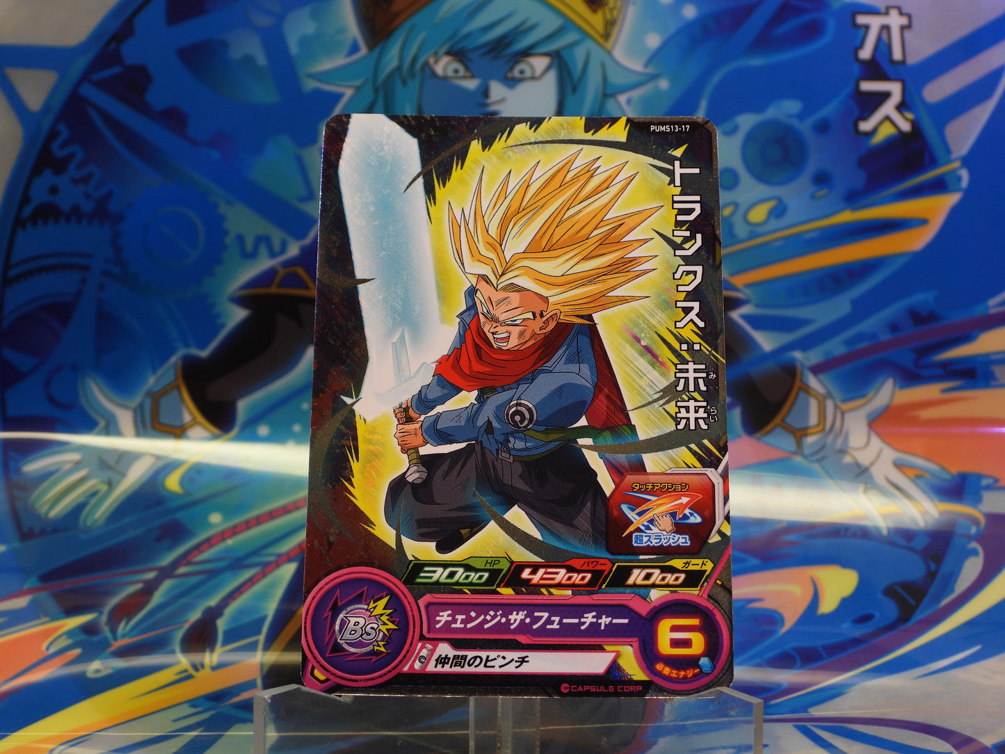 PUMS13-17 Trunks